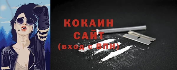 стаф Нея