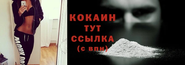 стаф Нея