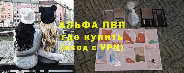 стаф Нея