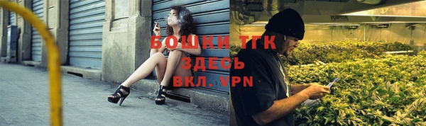 стаф Нея