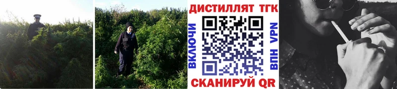 ТГК вейп  Безенчук 