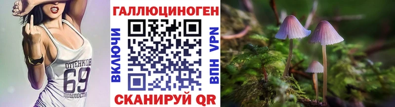 Псилоцибиновые грибы мицелий  купить наркоту  Безенчук 